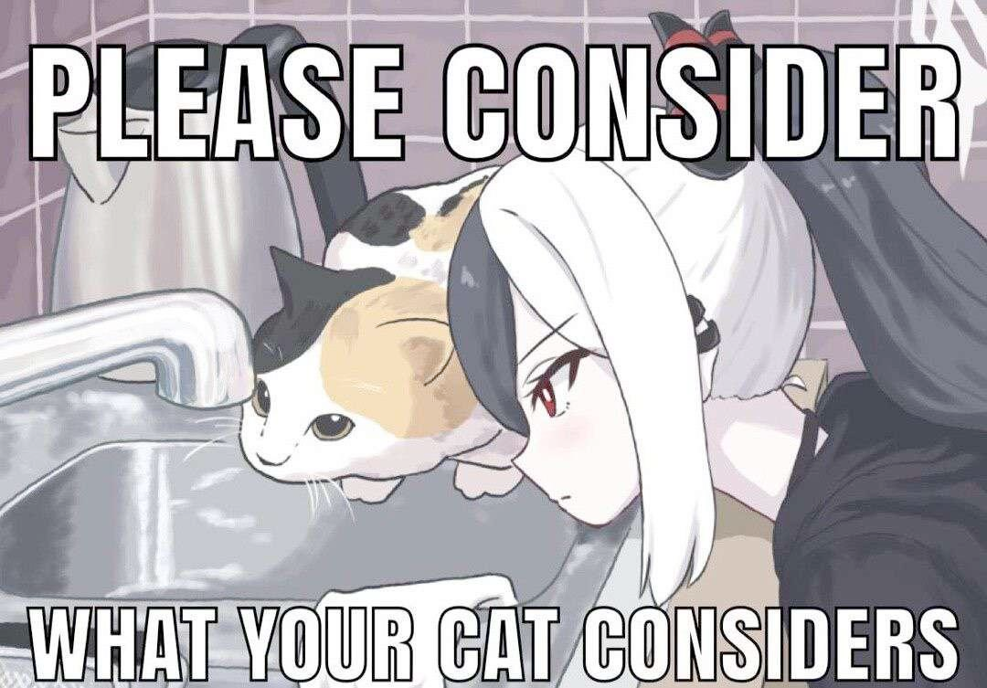 a meme that consists of text displayed over a drawn image of a cat and an anime girl staring intently at a water faucet on a kitchen sink

the text on the image say "PLEASE CONSIDER WHAT YOUR CAT CONSIDERS"
