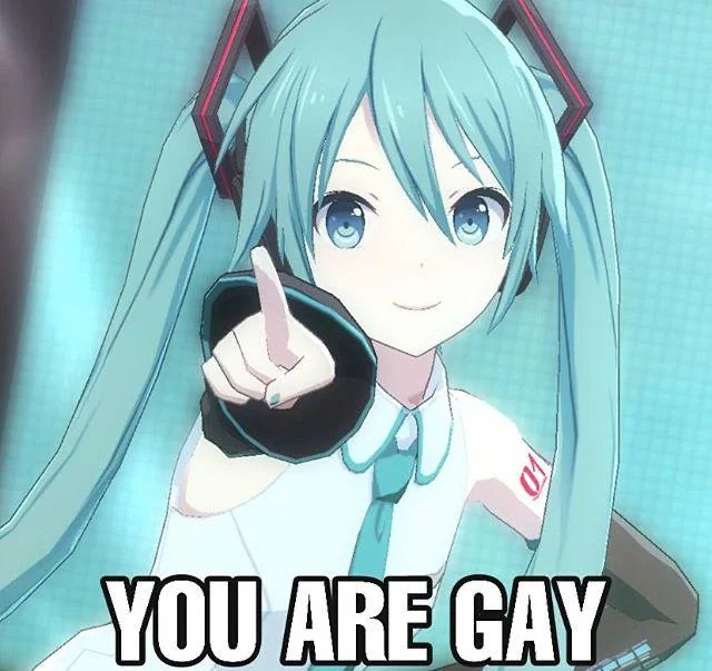 a meme consisinting of a drawn image of Hatsune Miku pointing at the viewer, the text on the bottom of the image says "you are gay"