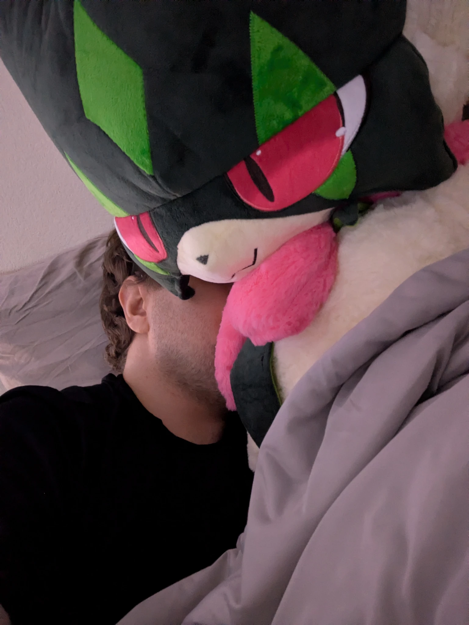 Renko is snuggling the big meowscarada plushie