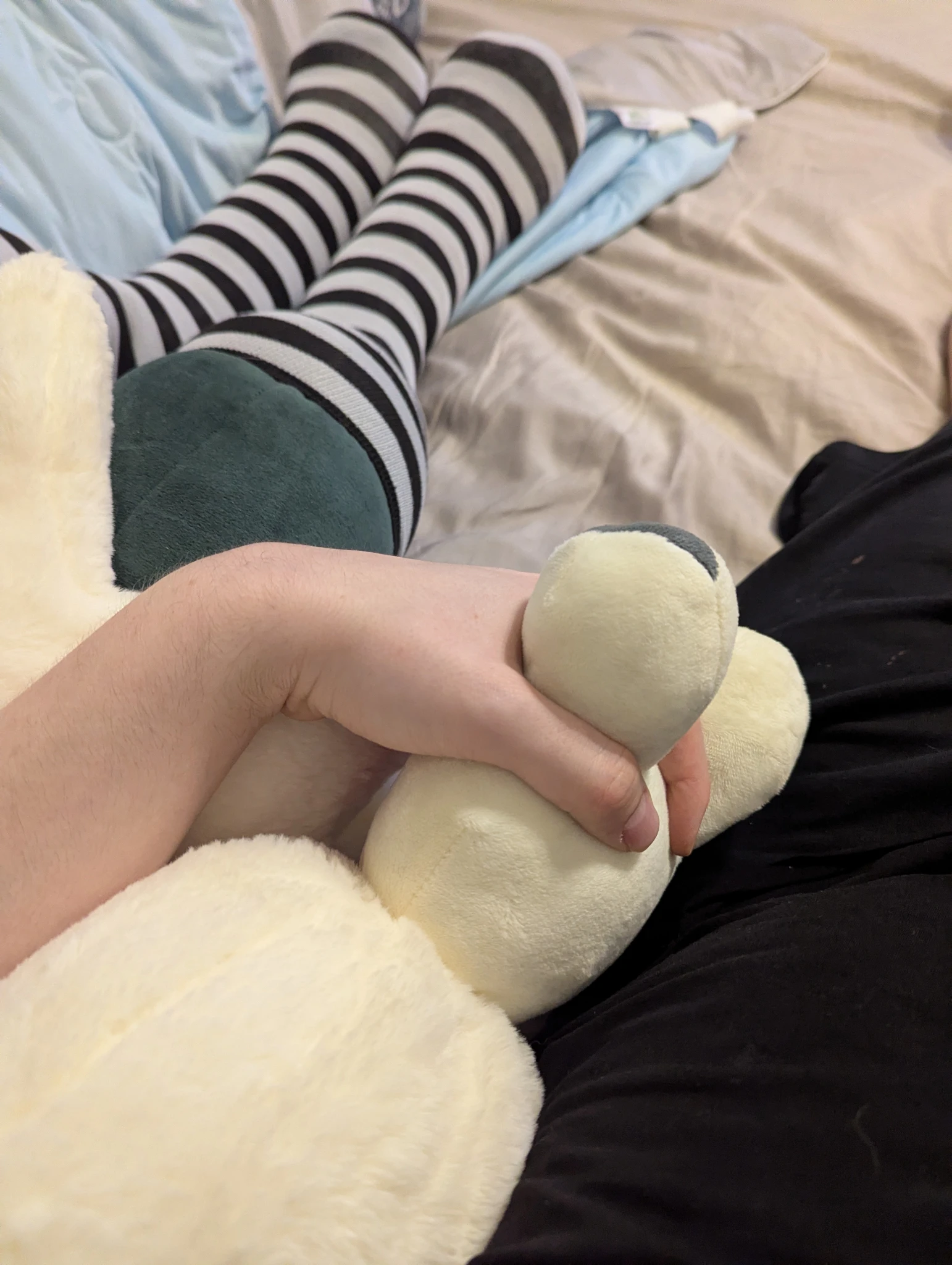 Renko and meowscarada holding paws